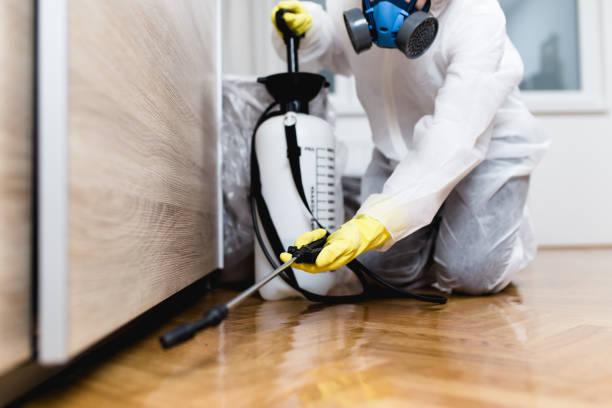 Best Exterminator Services  in Little Flock, AR