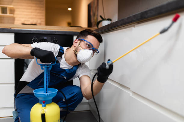 Best Exterminator Services  in Little Flock, AR