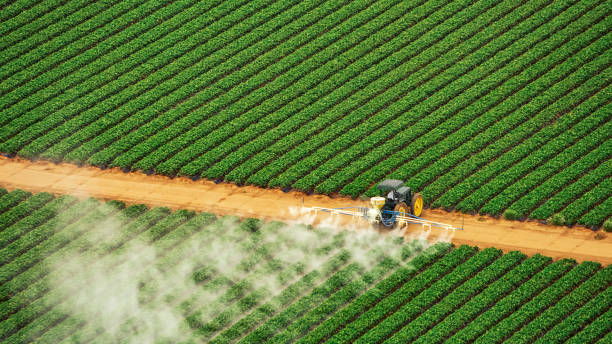 Pest Prevention Services in Little Flock, AR